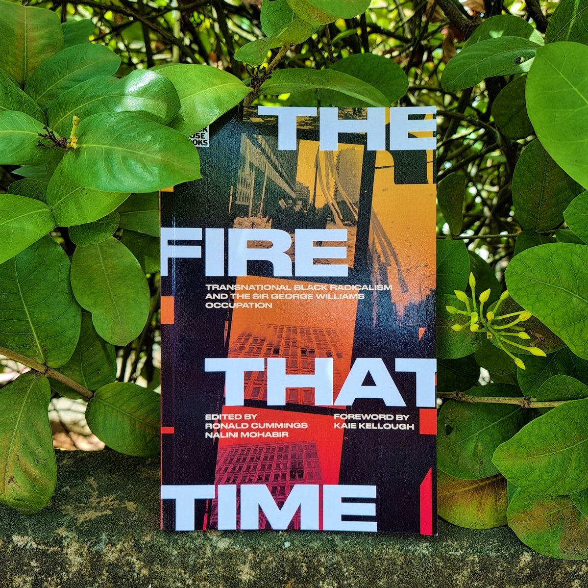 The Fire That Time (@blackrosebooks), edited by Ronald Cummings + @BrownGirlEnvy, frames the 1969 George Williams University 'affair' as a precursor to #BlackLivesMatter, #RhodesMustFall & the global case for reparations. It's scorching non-fiction, for all activists everywhere.