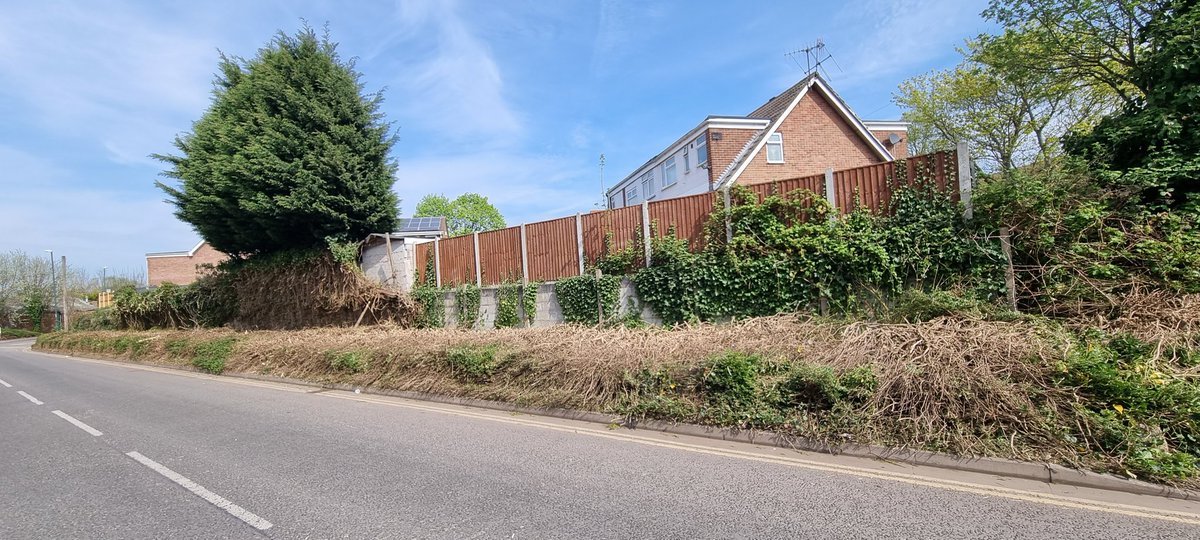 Massively out of control overgrowth has finally been cut down to a manageable height on New Road, Radford. Great work team 👏🍃