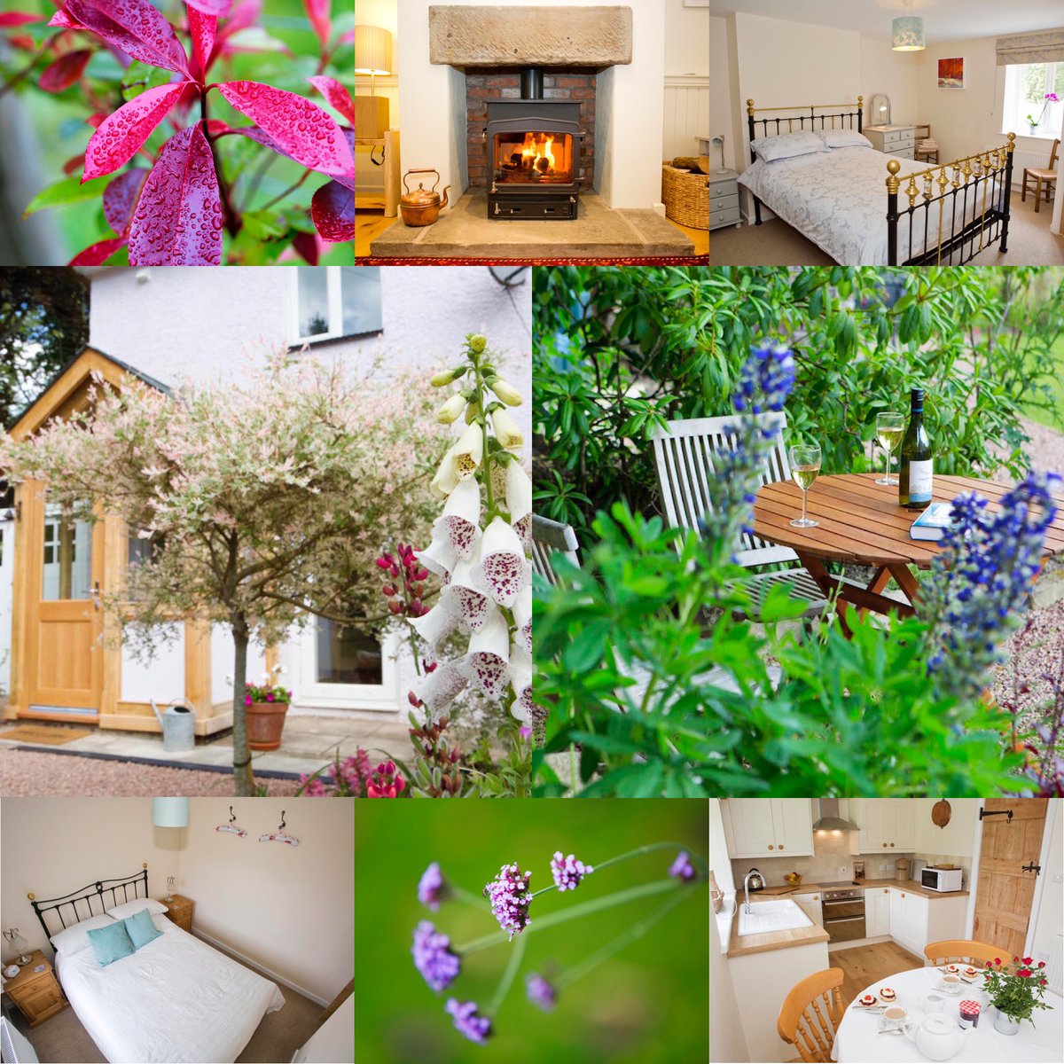 FODholidaycott's tweet photo. We have availability towards the end of the year October - December. Available dates can be found on our website 😊

https://t.co/veZecVXtgT 

#holidaycottage #forestofdean #ukgetaway #deanwye https://t.co/lBf1u5A2U0