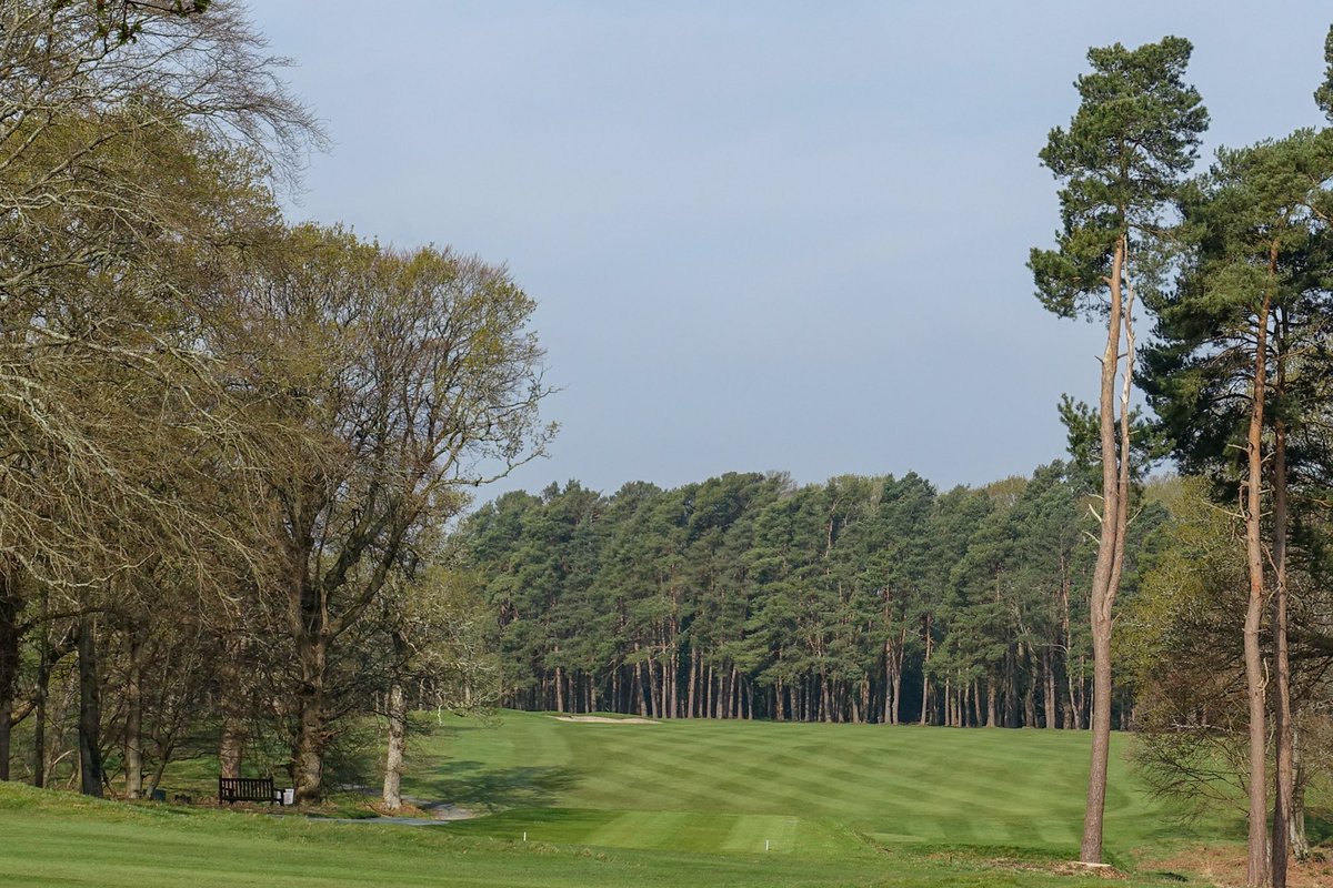 Brokenhurst Manor Golf Club tweet media