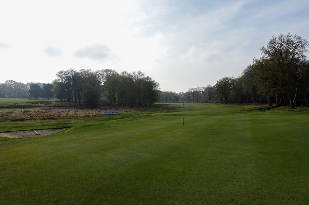Brokenhurst Manor Golf Club tweet media