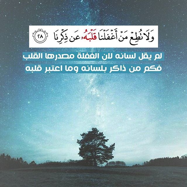 123123Moon's tweet photo. تدبر سورة الكهف https://t.co/9BvXgPvR7F