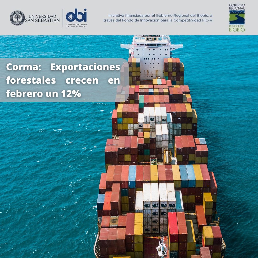 ¡Buenas noticias!

En febrero las exportaciones forestales-madereras alcanzaron un total de US$396 con un alza de 12% respecto al mismo mes pero del 2021.