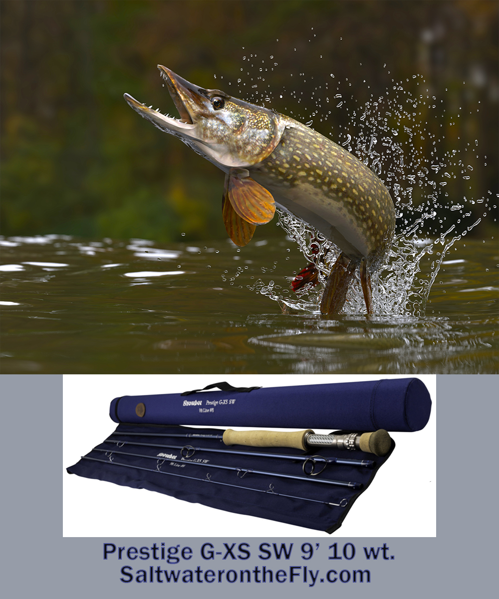 Ultimate Pike &amp; Muskie Fly Rod, Prestige G-X  9'  10wt. 
Ultralight, Powerful, &amp; Accurate. Presentation is Everything
saltwateronthefly.com/product/g-xs-s… 
via <a href="/Saltwateronfly/">Saltwater on the Fly</a> 
:
#saltwaterflyfishing #onthefly #pikefishing #muskiefishing #flyfishing #tarponfishing #flytying  #pikeflies
