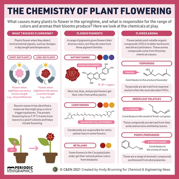 C&EN on Twitter "In this PeriodicGraphics, compoundchem explains the