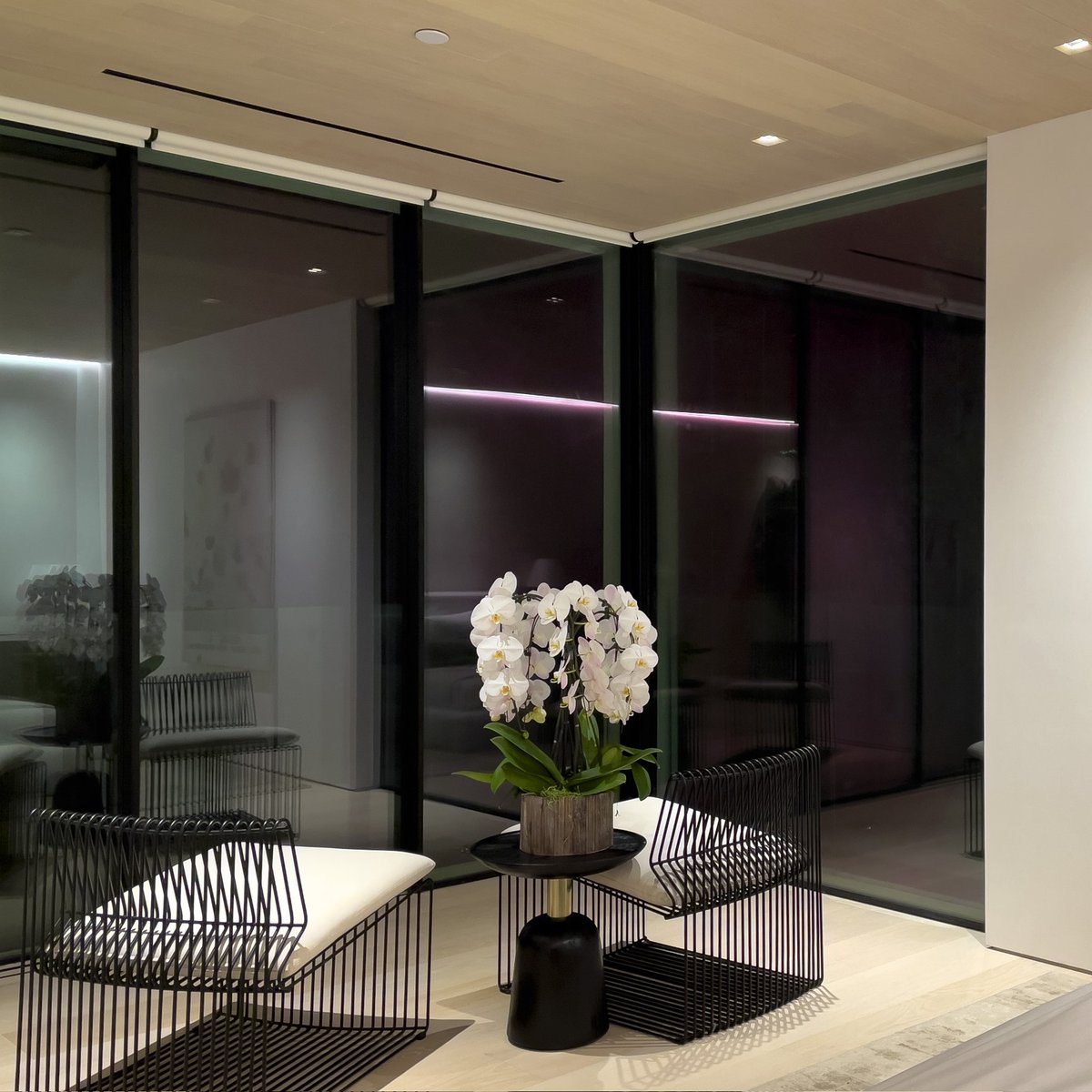 InceptionShades's tweet image. Inception Shades fit within most pockets and look so good, you won't need a cover. #inceptionshades #AVtweeps