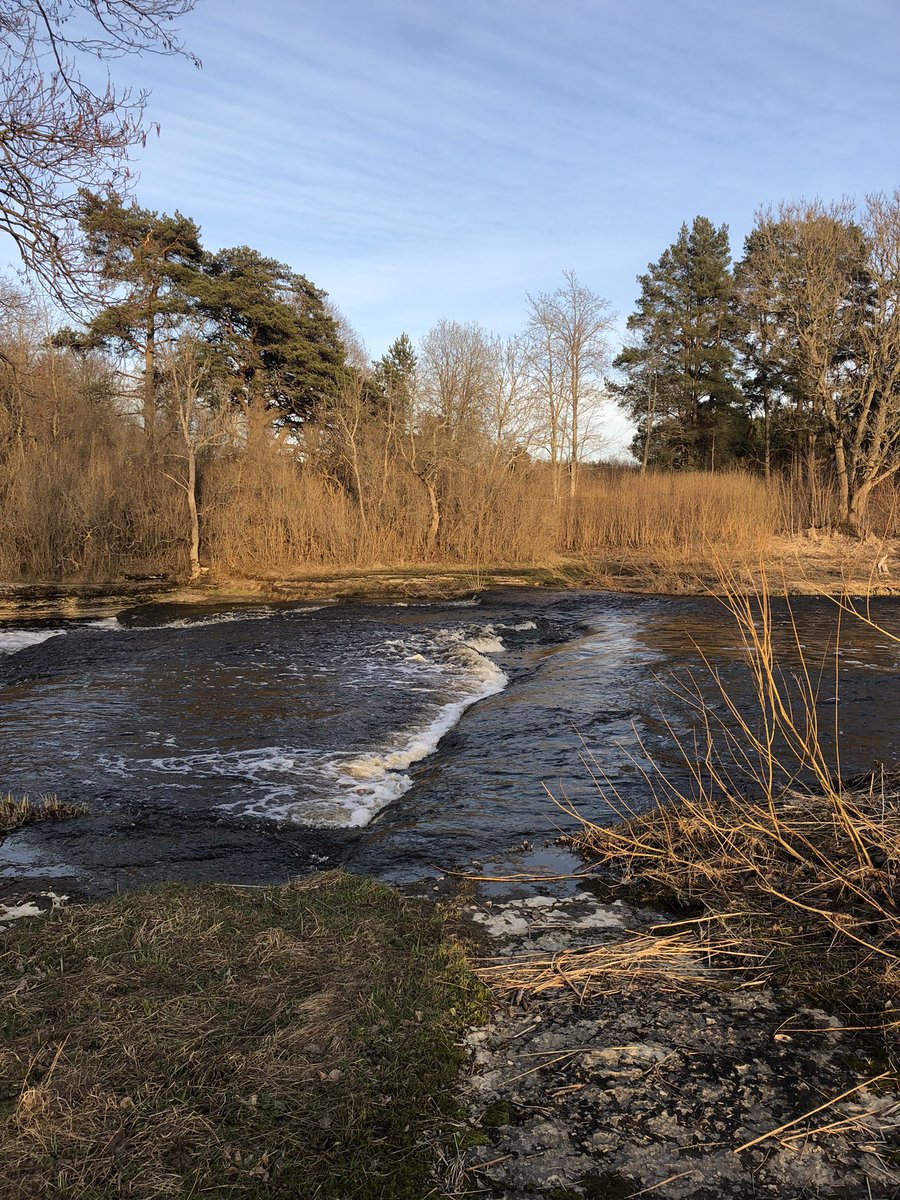 Samuheino's tweet photo. Kelpaa! #WNG #wolfpacking #seonkesänyt https://t.co/DHqJl89kCe