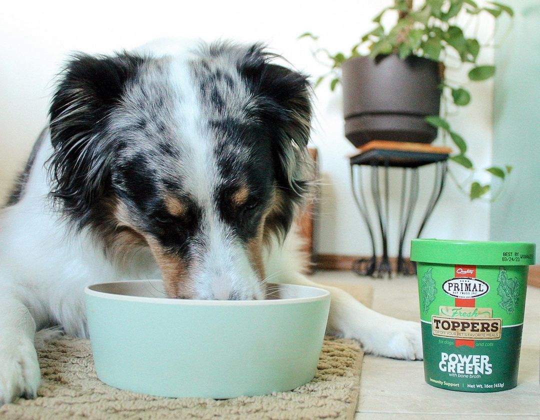 What Leafy Greens Are Good For Dogs