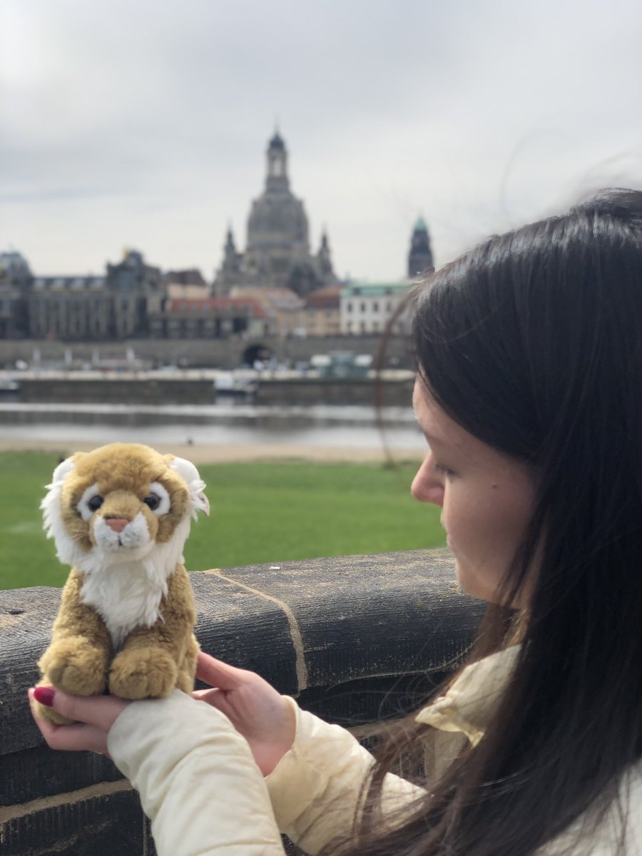 Melanie 🐯 tweet media