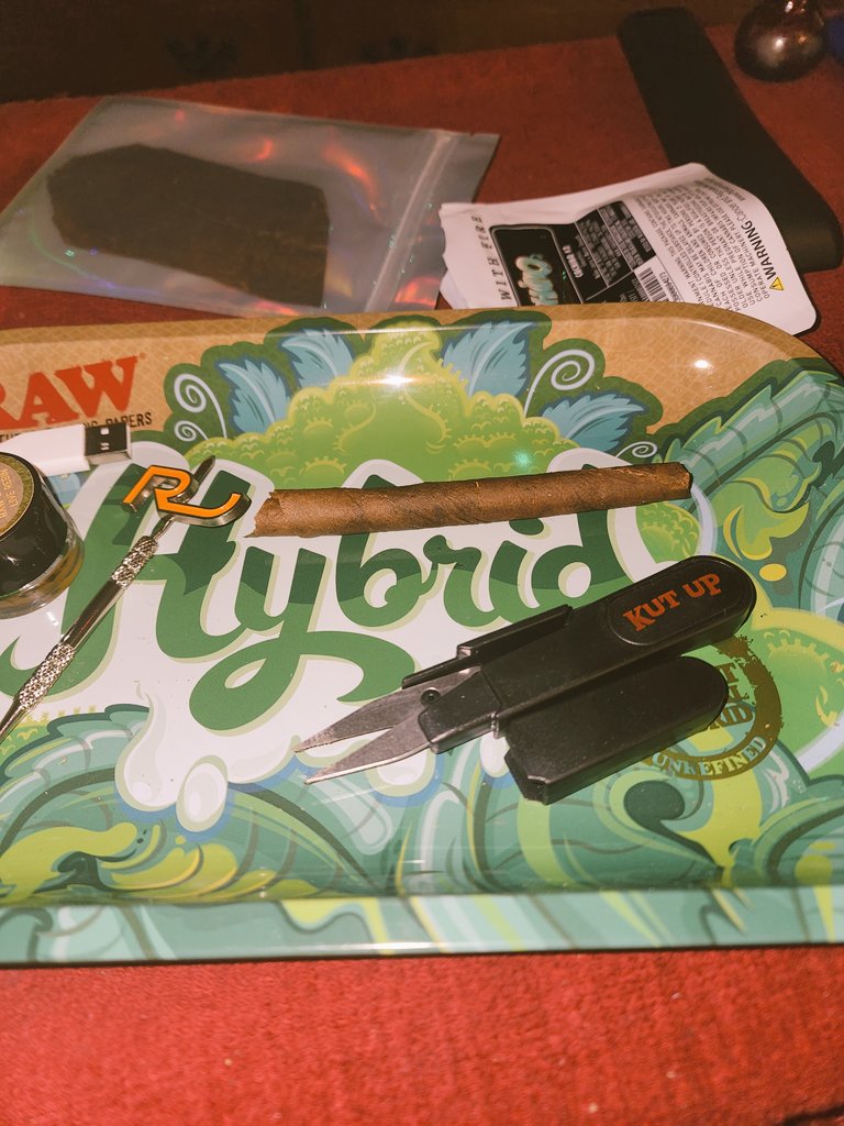 girlon420's tweet photo. Getting ready for today!!! Rolled 1st Zackwoods and it's ready.... Packed bong for now!!! Yippy Happy 420 ! May Every Bowl be Green and Plentiful ! #Temple420 https://t.co/CoQNEuBjRR