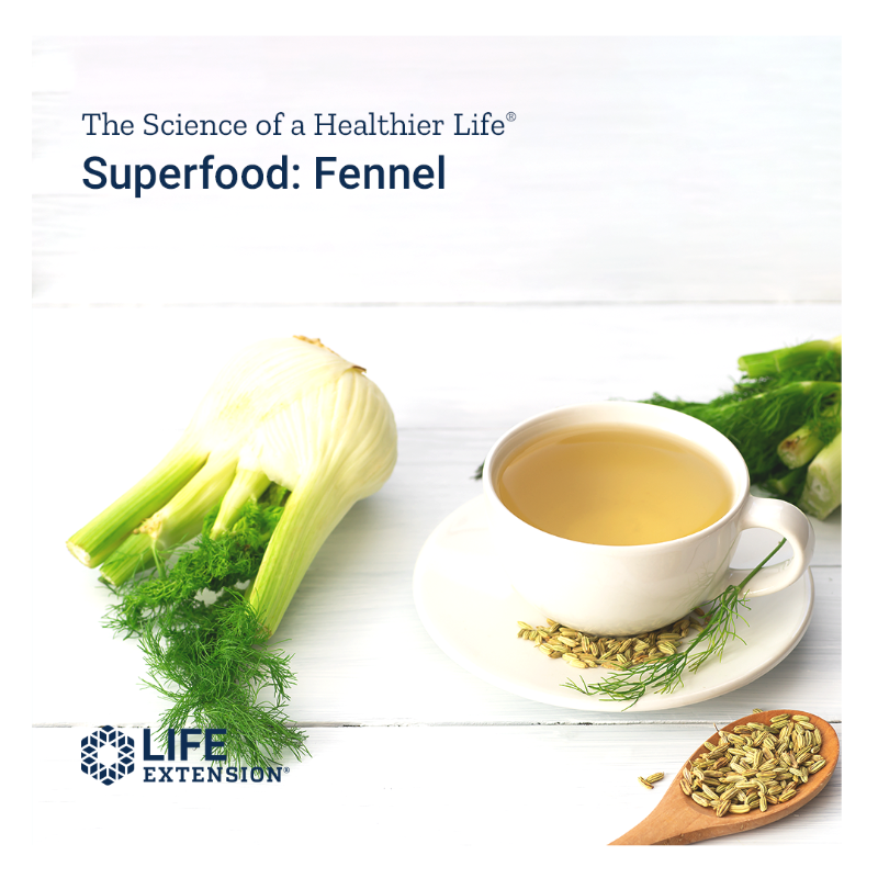 LifeExtension's tweet photo. Fennel can help with #digestion &amp; eliminate bad breath. Do you eat or take this #Mediterranean herb? #fennel #herb #superfood