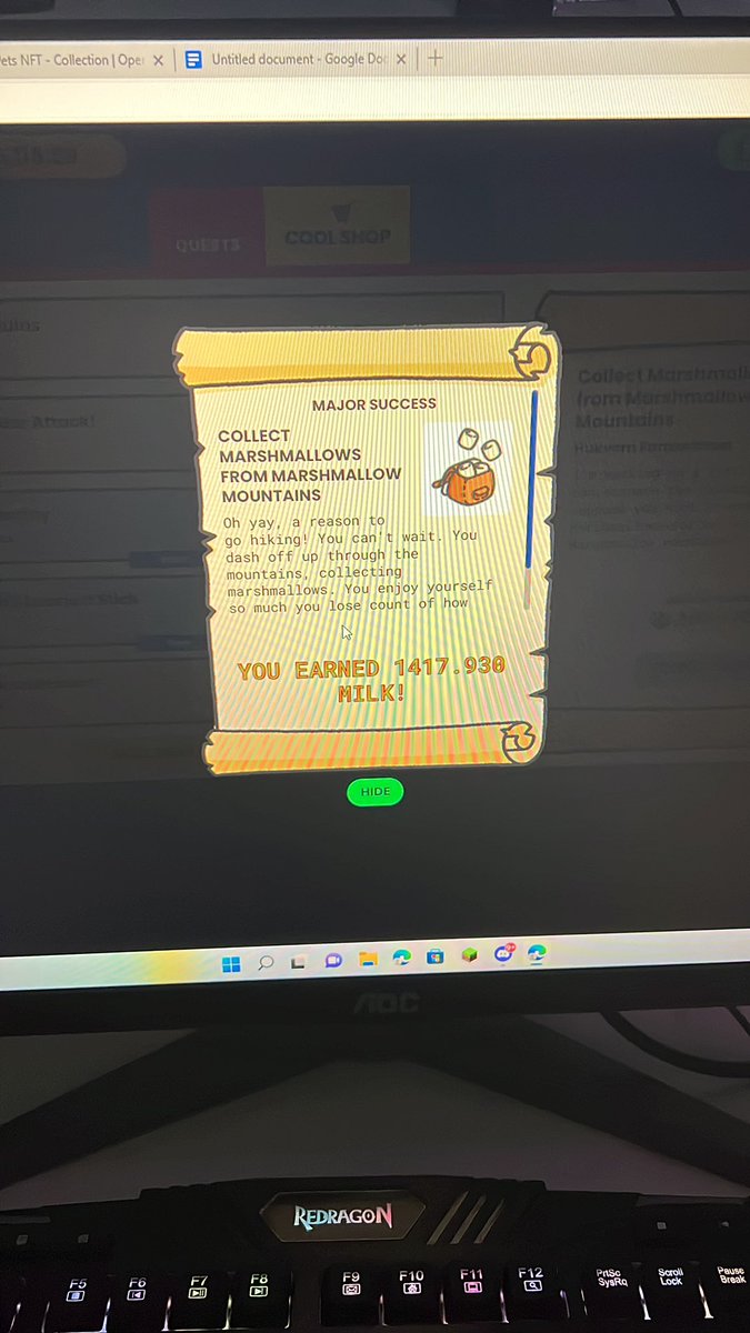 m0xamilli's tweet image. Questing &amp;gt; 9-5 @coolcatsnft