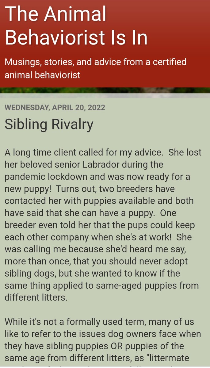 Ever been tempted to get two puppies at the same time? Or siblings? Here's why I would advise against doing that, both for your own sake and for those puppies. 
…liebondanimalbehaviorist.blogspot.com/2022/04/siblin…