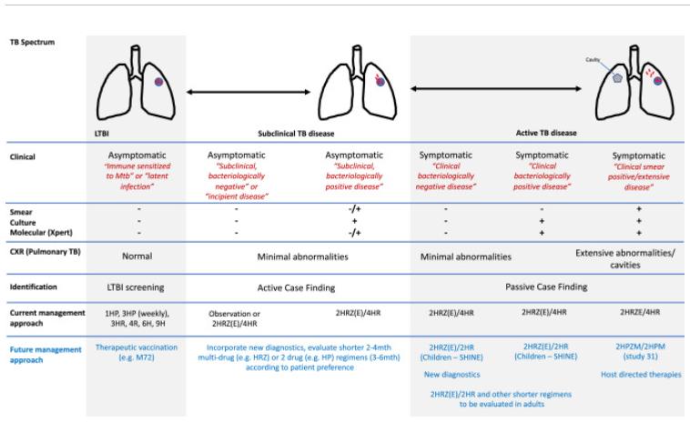 gpollara's tweet photo. Nice review on spectrum of TB infection manifestations. 

Breadth of disease extent will require corresponding breadth of clinical management strategies. @eBioMedicine 
https://t.co/QsdLtP14fZ https://t.co/ERiXcBIzHJ