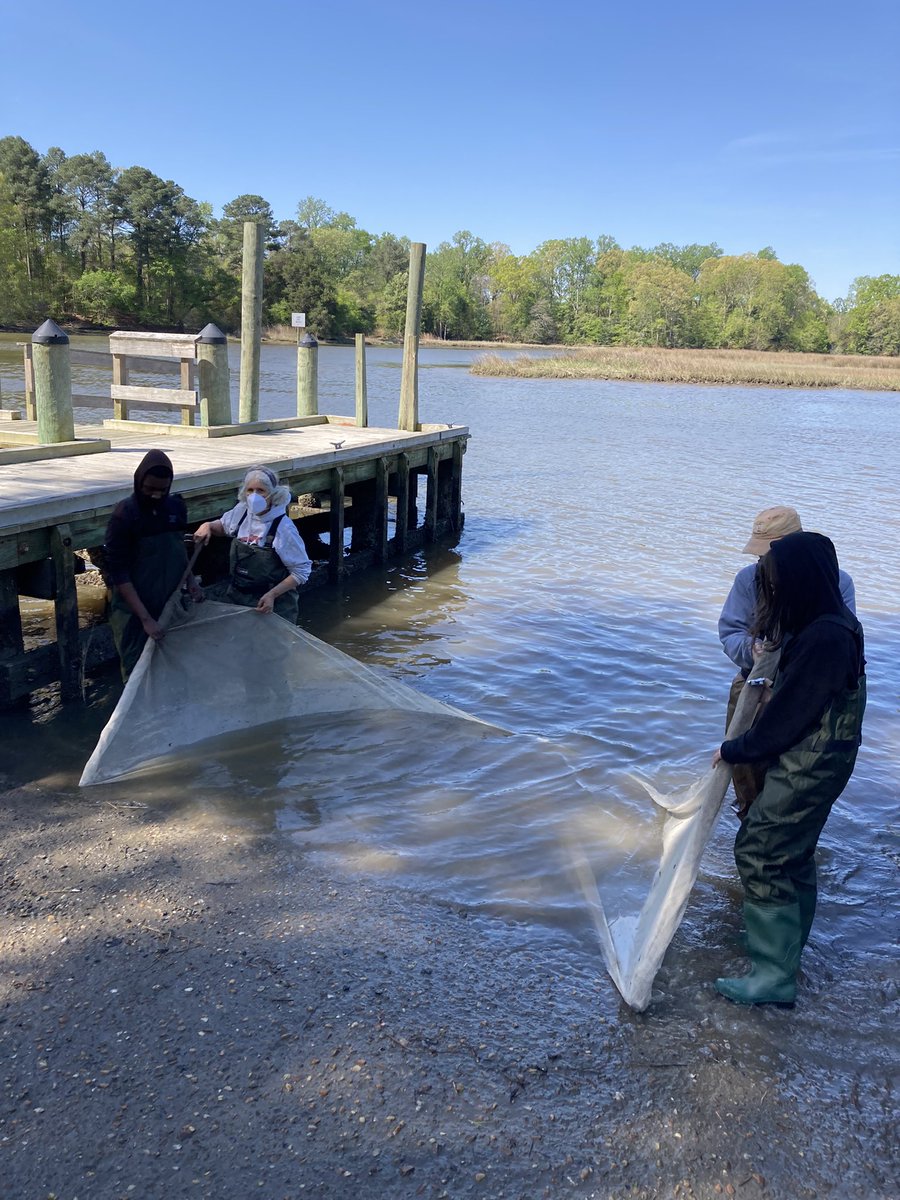 WeirdlySciency's tweet photo. I am so proud of my students. SO many worked with wildlife when they were hesitant initially. Loved this opportunity for them! @KFMSJaguars #jaguarsROAR #buildingthebestSPS https://t.co/wEWVEzNDPb