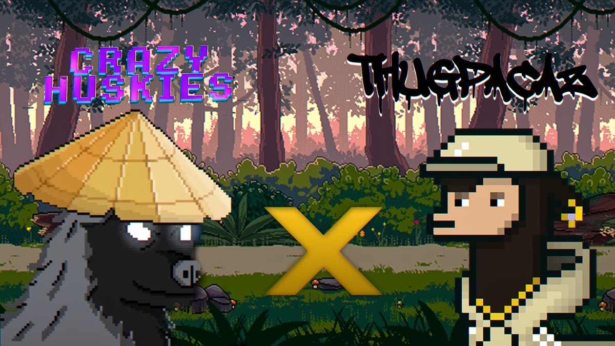 🦙ThugPacaz x CrazyHuskies🐶

We are happy to announce our collaboration with <a href="/crazyhuskies/">CrazyHuskies Gen 2</a>!

That's the things that we have prepared for you guys:
-Poker Night Saturday 23th, 5 PM UTC.
-Twitter Spaces Saturday 23th, 7 PM UTC.
-Raffles for holders.

MORE INFO ON OUR DC!🐶🦙