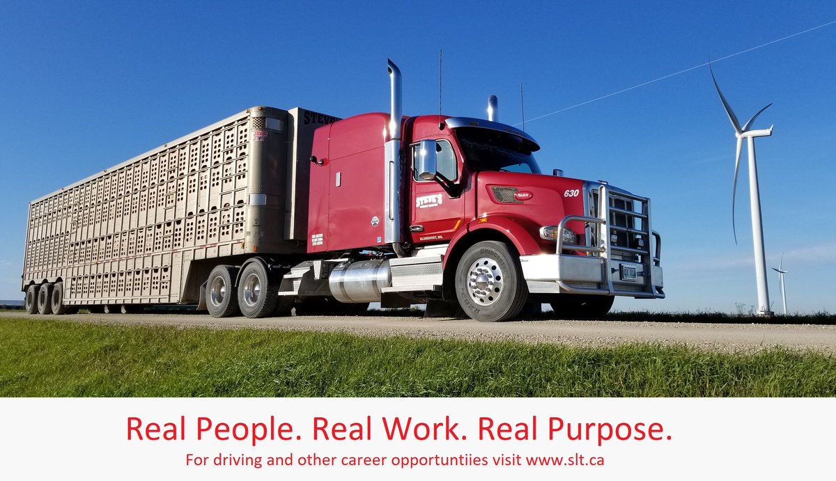 JeremyMessner2's tweet photo. Steve's Livestock Transport is looking to hire professional driver recruiters in Manitoba and Alberta.  

Apply online at https://t.co/5E7NptxFFF 

#Trucking #TruckingJobs #Career #Recruiting https://t.co/ZsVZOWr4DL