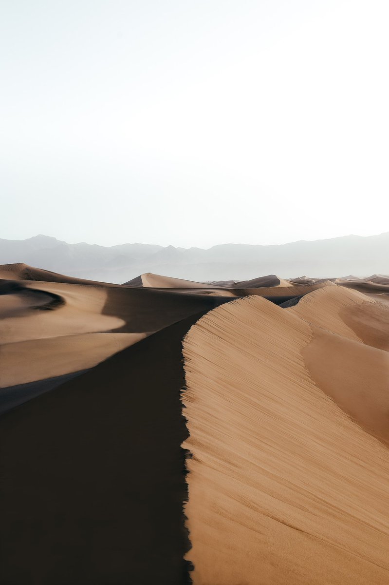 GM photographers and NFT artists ☕️ 

We’re halfway through the week. How’s your week going?