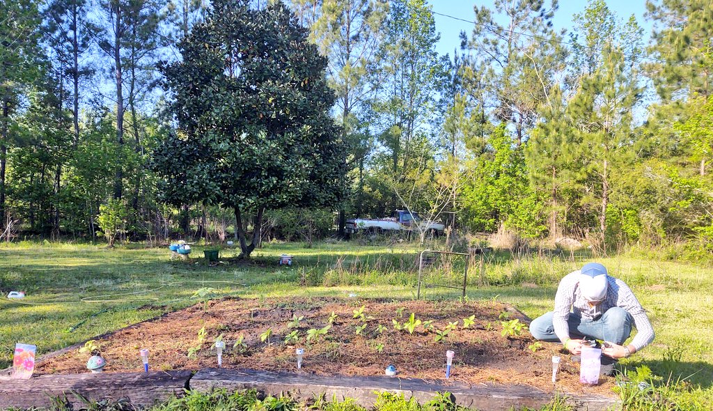 PhinneyVicki's tweet image. Yesterday my hubby helped me with my garden. 😍😎 #Spring #Gardening #FamilyProject