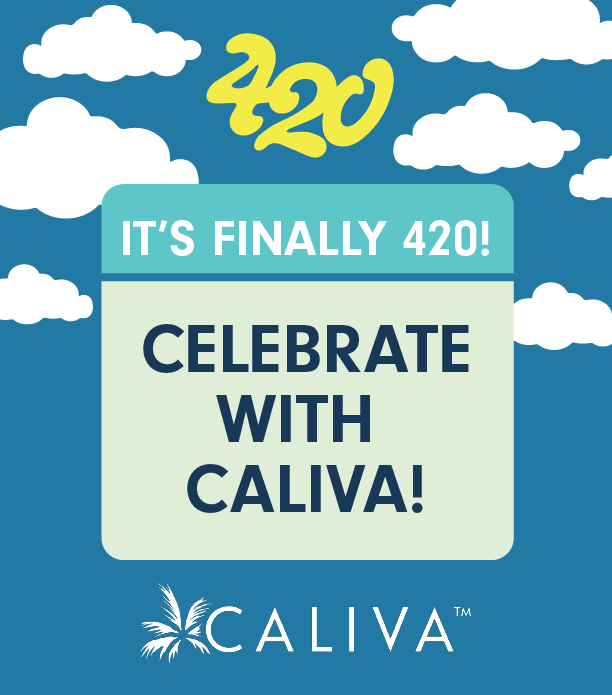 gocaliva's tweet photo. 1. SHOP OUR 420 DEALS 😎

20% OFF EVERYTHING UNTIL 12PM [code “420NOON”]
Fun Uncle Flower $14.20 (select strains only)
Malibu Buy One Get One $0.01
Coastal Sun 25% Off
Cann Buy 2 Get 1 $0.01
Fun Uncle Cruisers $14.20
Fun Uncle Cruisers w/Live Resin $20

Continued 👇 https://t.co/dbVFtOTs40