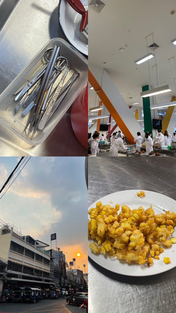 pamoompamim's tweet image. อ่ะรีวิวๆ ศิริราชคือ facility หรือหอพักก็คือเรียกว่า พอถูไถ ไปำด้ ไม่น่าเกลียด แต่ก็ไม่ได้ดูโมเดิ้น แต่ข้อดีคืออจ.พยายามปรับหลักสูตรตลอดๆ ฟังฟีดแบคเด็กเยอะ แล้วตัด osu(ผ่าน/ไม่ผ่าน) หลายตัวเลย เพราะฉะนั้นคือจะไม่ต้องเครียดขนาดนั้นเวลาสอบ