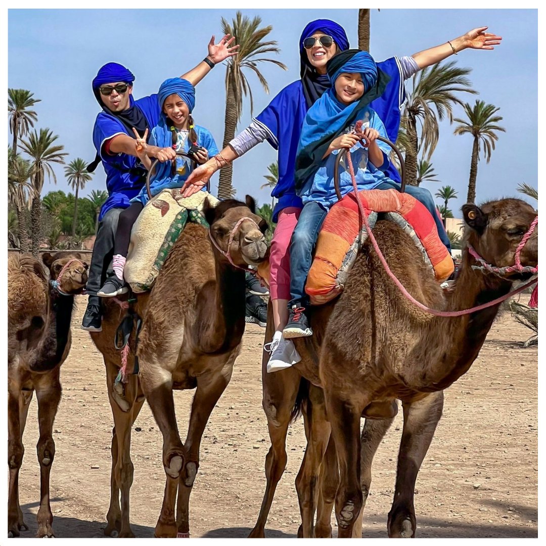 FourSeasonsMarrakech tweet media