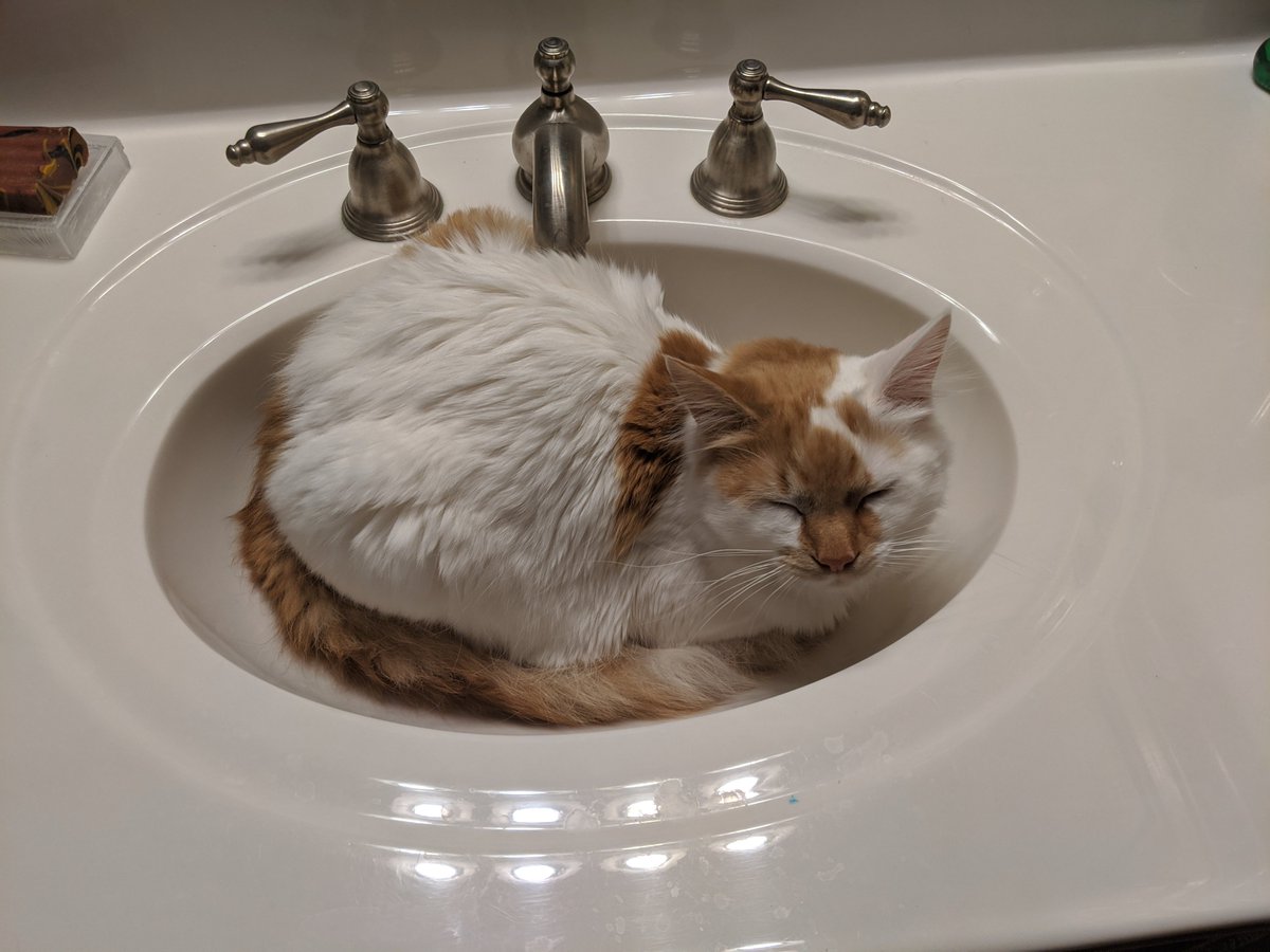 DavvGod's tweet photo. Who put a loaf of bread in my sink https://t.co/aPcSjRQFZf