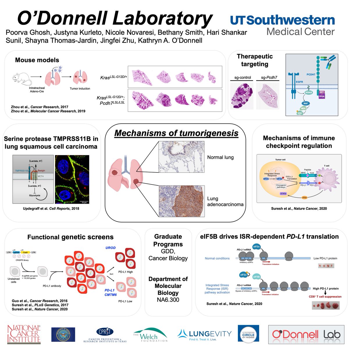 ODonnellLab_K's tweet photo. We are looking for a postdoc interested in studying mechanisms of translational control in lung cancer:
https://t.co/jSJPL5s5j4

Visit our web page at https://t.co/yp2ITWmypp and email me for details.
See also:  PMID: 32984844; 33972197

Please retweet! https://t.co/G838LQlMIE