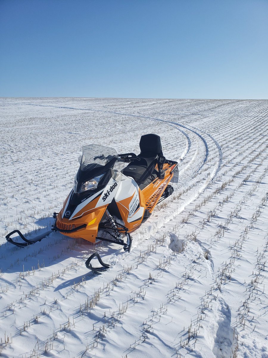 rayndaseeds's tweet photo. Just out field scouting this morning.  NO! Not ready to seed yet🤣 https://t.co/g2bGzP8y0h
