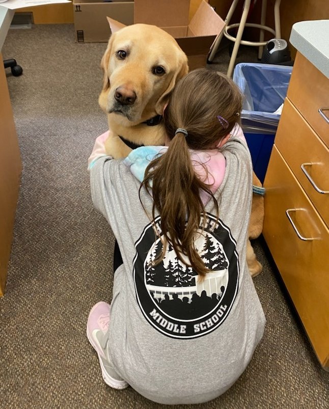 Love for our PADS dog Lennon and our new Hillcrest Tees! ❤️❤️❤️ Happy Wednesday!

#hillcrestmiddle #schoolswag #pads <a href="/PADSdogs/">PADS</a> <a href="/sd43bc/">School District 43</a> #schoolpride #schoolspirit