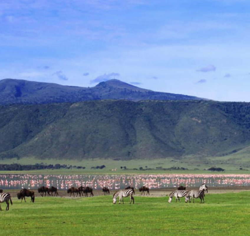 tzbranding's tweet photo. Visit Ngorongoro: The Garden of Eden. https://t.co/qlqUgqUPz4