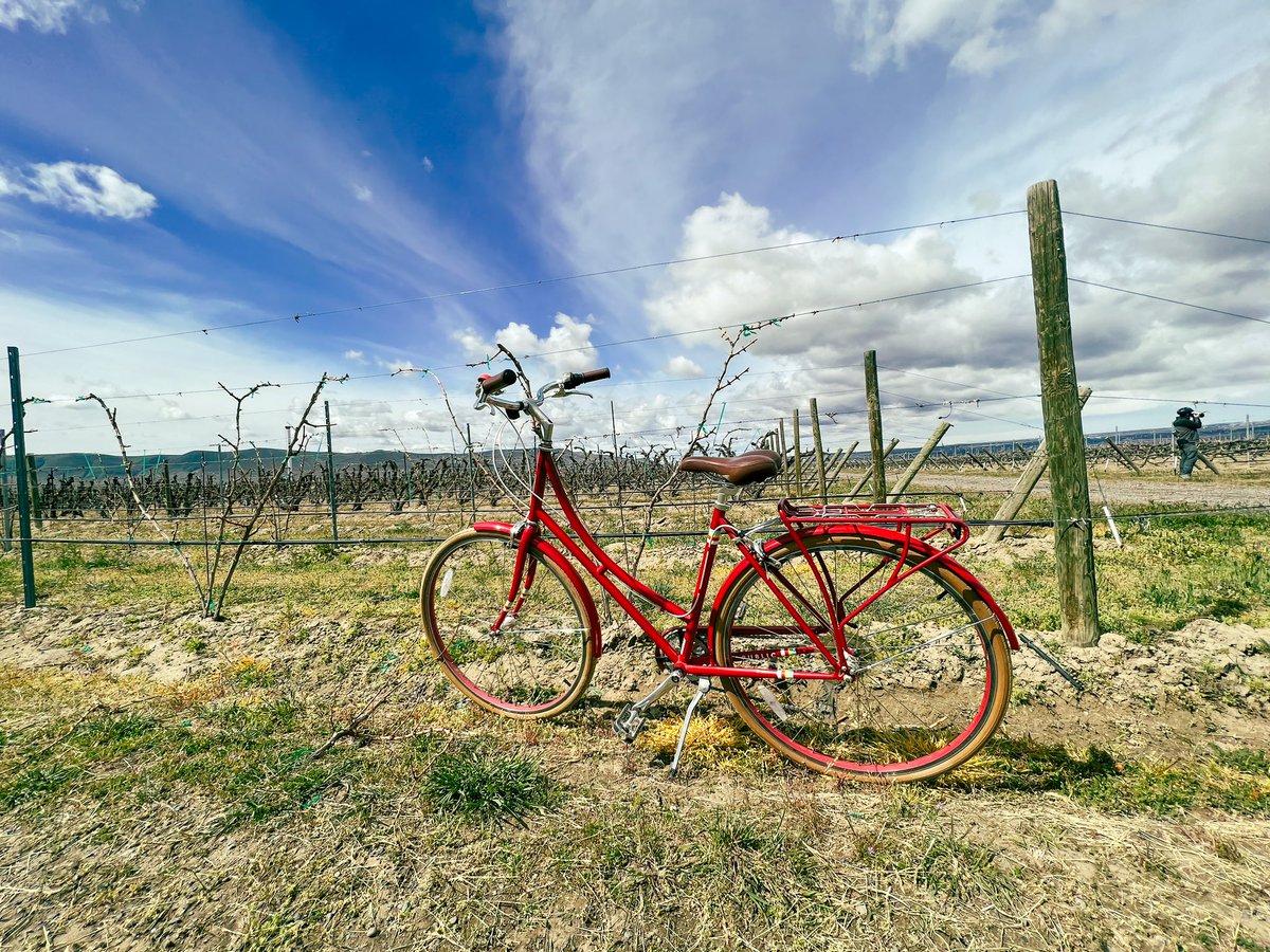 TravelMamas's tweet photo. Bicycling and wine-tasting with @RedMtnTrails &amp; a bunch of fun travel bloggers! #TBEXTriCities #TBEX https://t.co/4MSSVhtFLE
