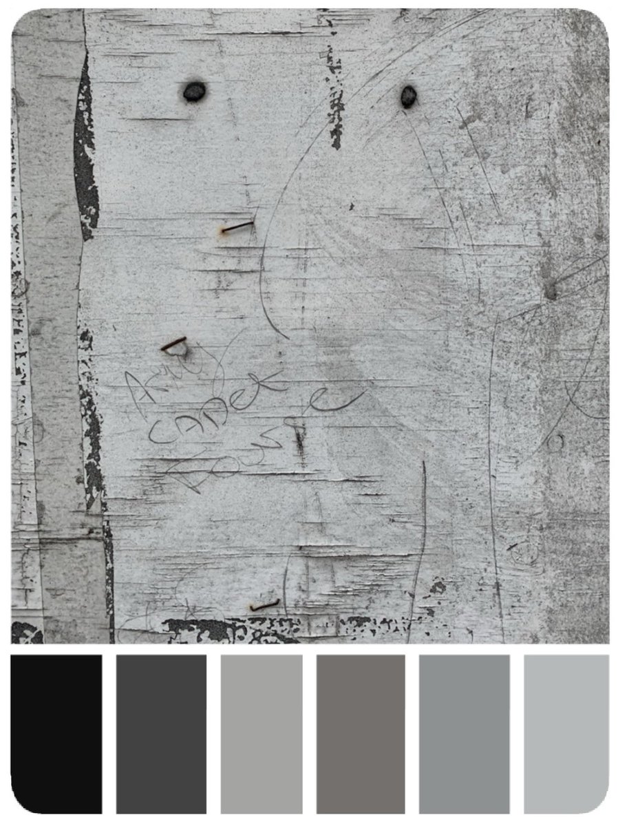 #scenicartistreference #setdresserreference #textureartist  #scenicreference #textures #surfaces #colourpalettes #paintreference  #textureartist #oldwood #paintedwood #ply