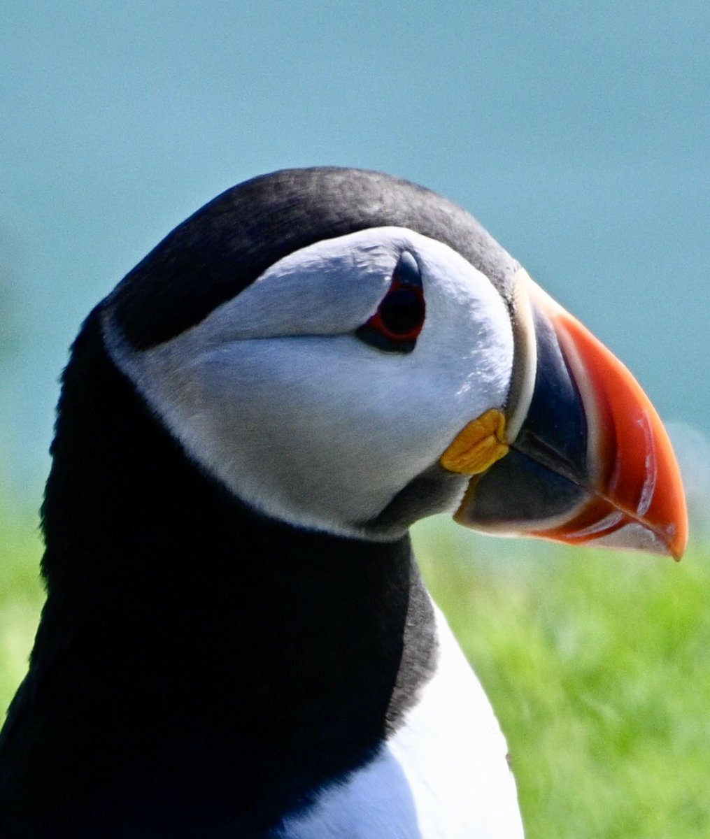 Andrew Watson tweet media