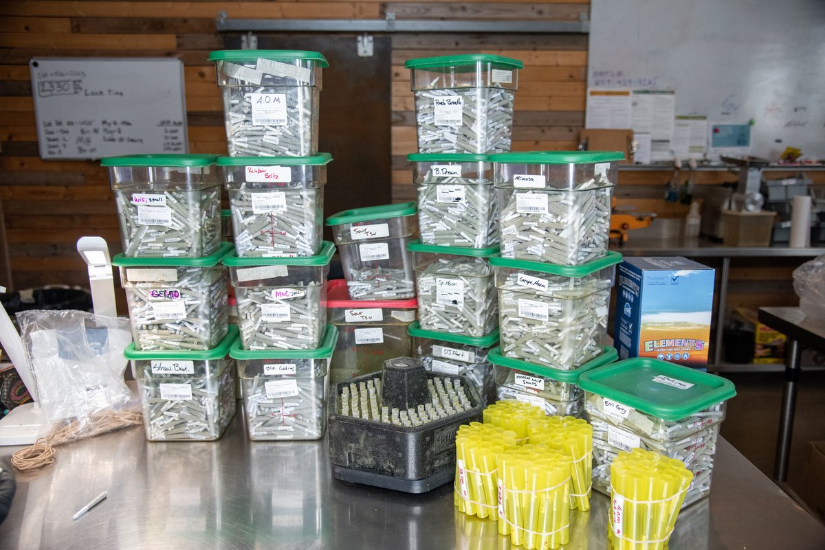 How many #prerolls do you need to celebrate #420? If your answer is 5,400, then we've got you covered. We hope the #cannabiscommunity the highest of high holidays! 🍁🐝❤️ #LazyBeeGardens