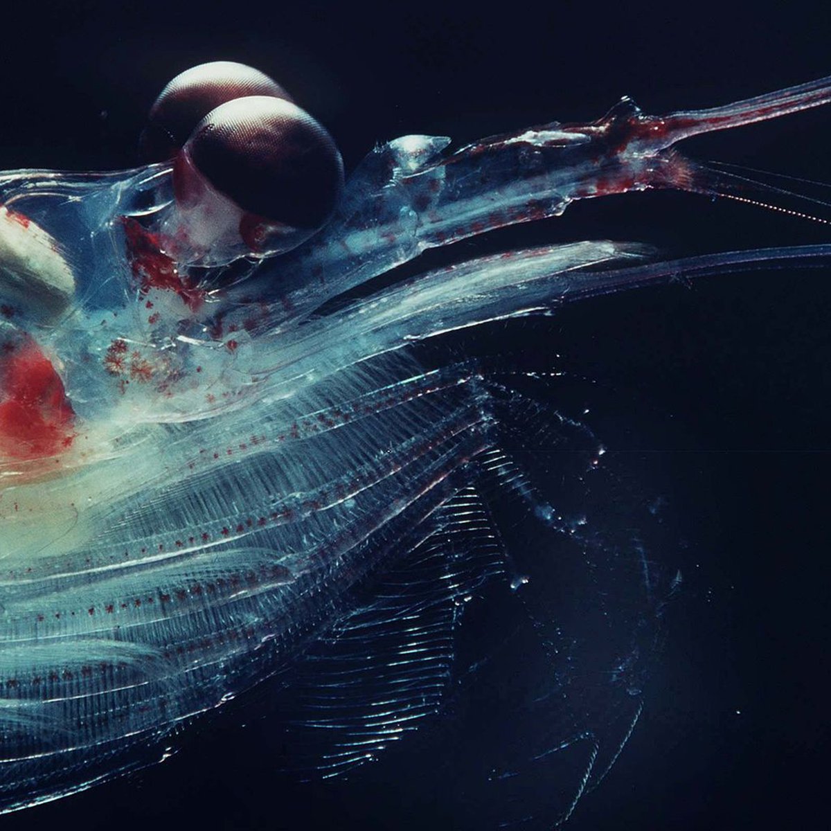 Our new EP - HEADS UP is out June 3.  At long last, WE ARE BACK