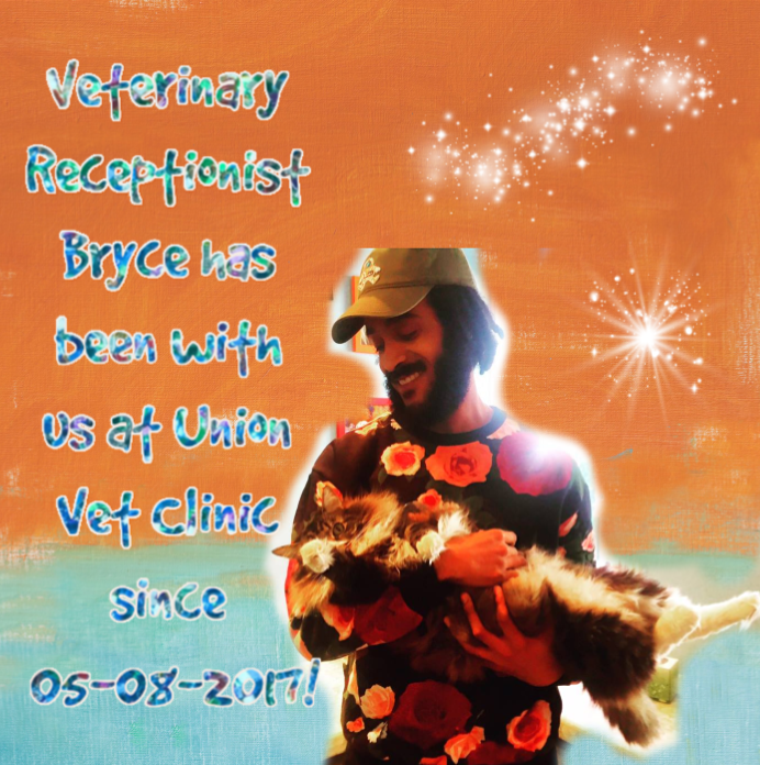 Union Vet Clinic tweet media