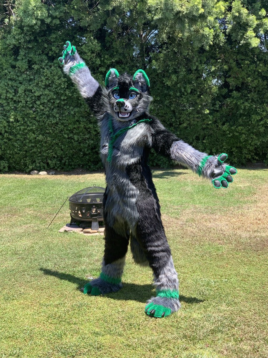 ThatWolfdog tweet media