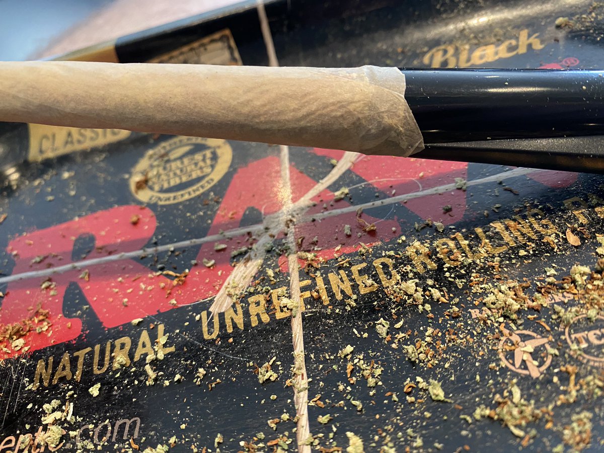 Happy 420 <a href="/TheStonerApes/">Stoner Ape Club</a>