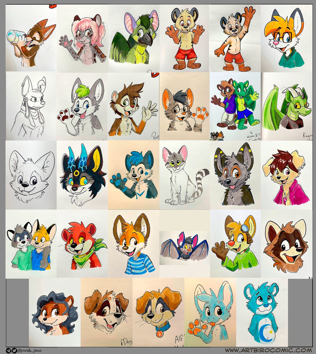 PacoPanda tweet media