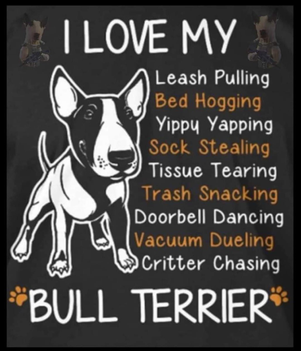 PaulMos02436367's tweet image. Hmm 🤔