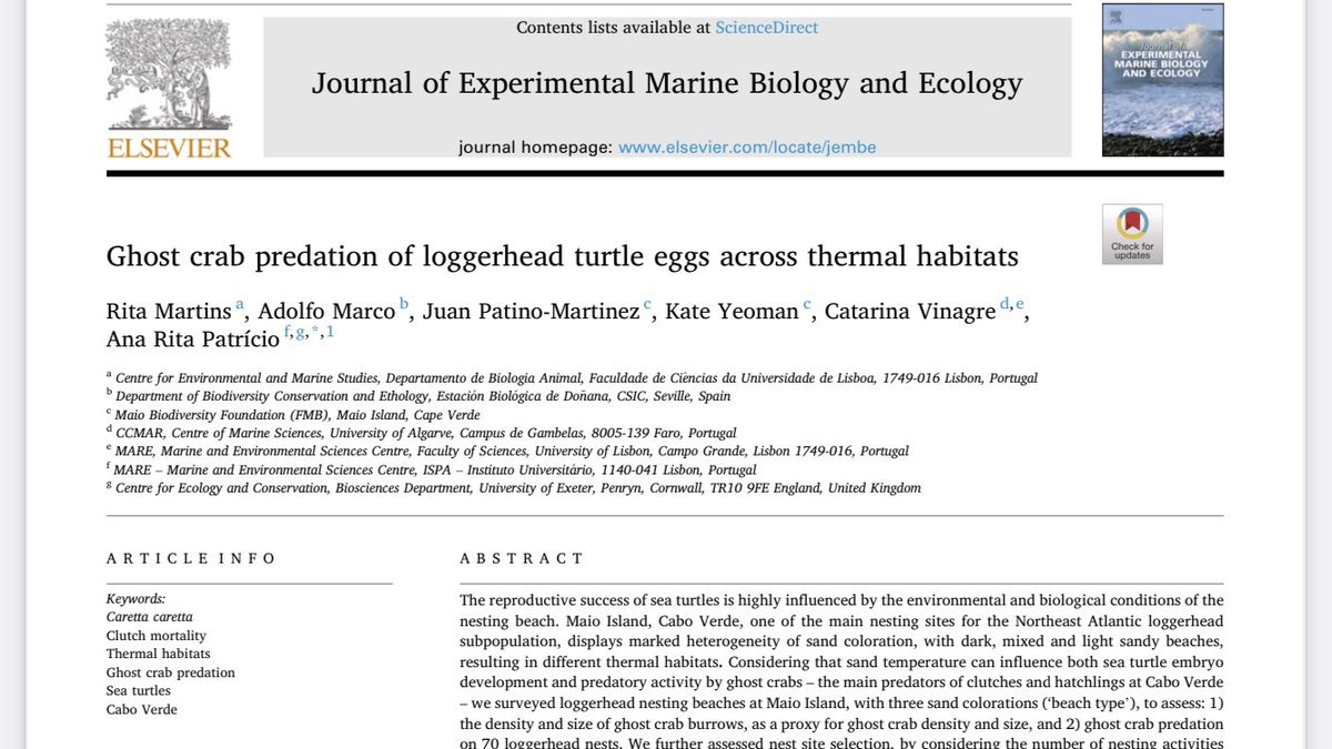 Our new paper is out 🐢

This research brings new contributions to ghost crab #predation impact and loggerhead #seaturtles conservancy on heterogeneous nesting sites such as Maio island beaches #CaboVerde @FMB_CaboVerde @arcpatricio 

authors.elsevier.com/c/1exc351aUjaWk