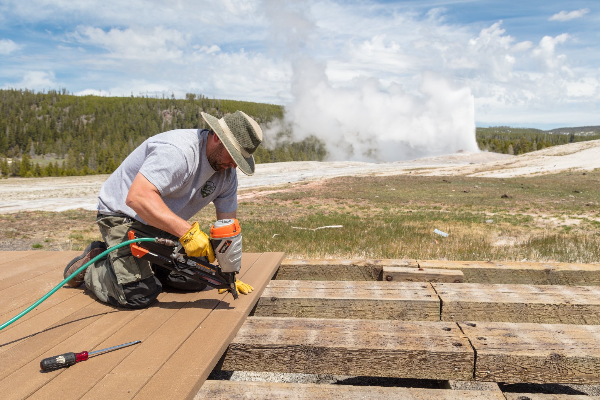 Yellowstone National Park on Twitter "Are you curious about the