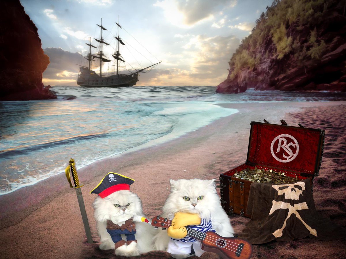 Ahoy mateys!! Beau and Ted dug up the RockSugar treasure chest and got their paws on the new album!! Get yours now! RockSugarBand.com 

📸: @studio26lodi