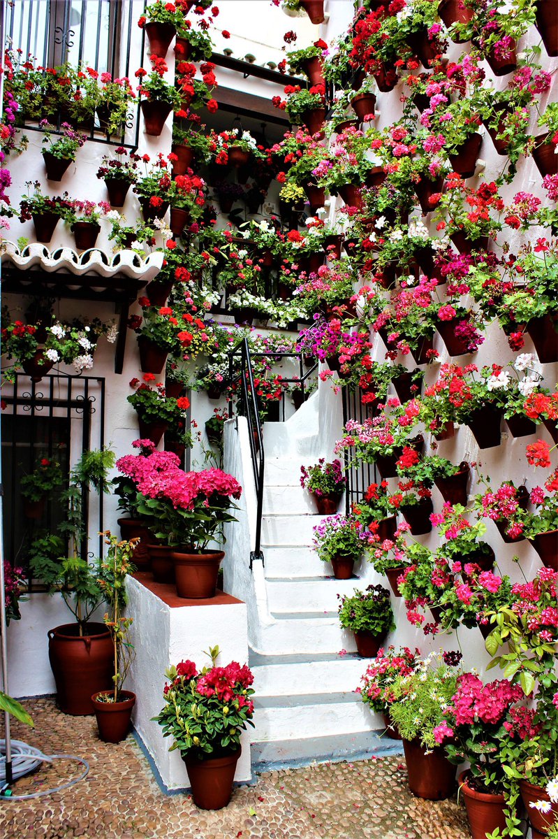antonglex's tweet photo. Mayo cordobés 🌺🌸 https://t.co/Du27jG62xA