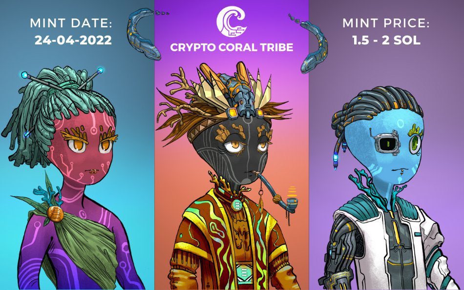 2222Themoon's tweet photo. @koolk123456 While we’re on the subject of the right place @CoralTribeNFT the right time 👇👇👇
DONT MISS OUT ON YOUR NEXT 100x HOLD 🔥🔥🔥🔥🔥🔥
#SolanaNFTs #solana #CoralTribe #thetimeisnow #Reef #dreamteamdevs https://t.co/4cLzvGovqZ