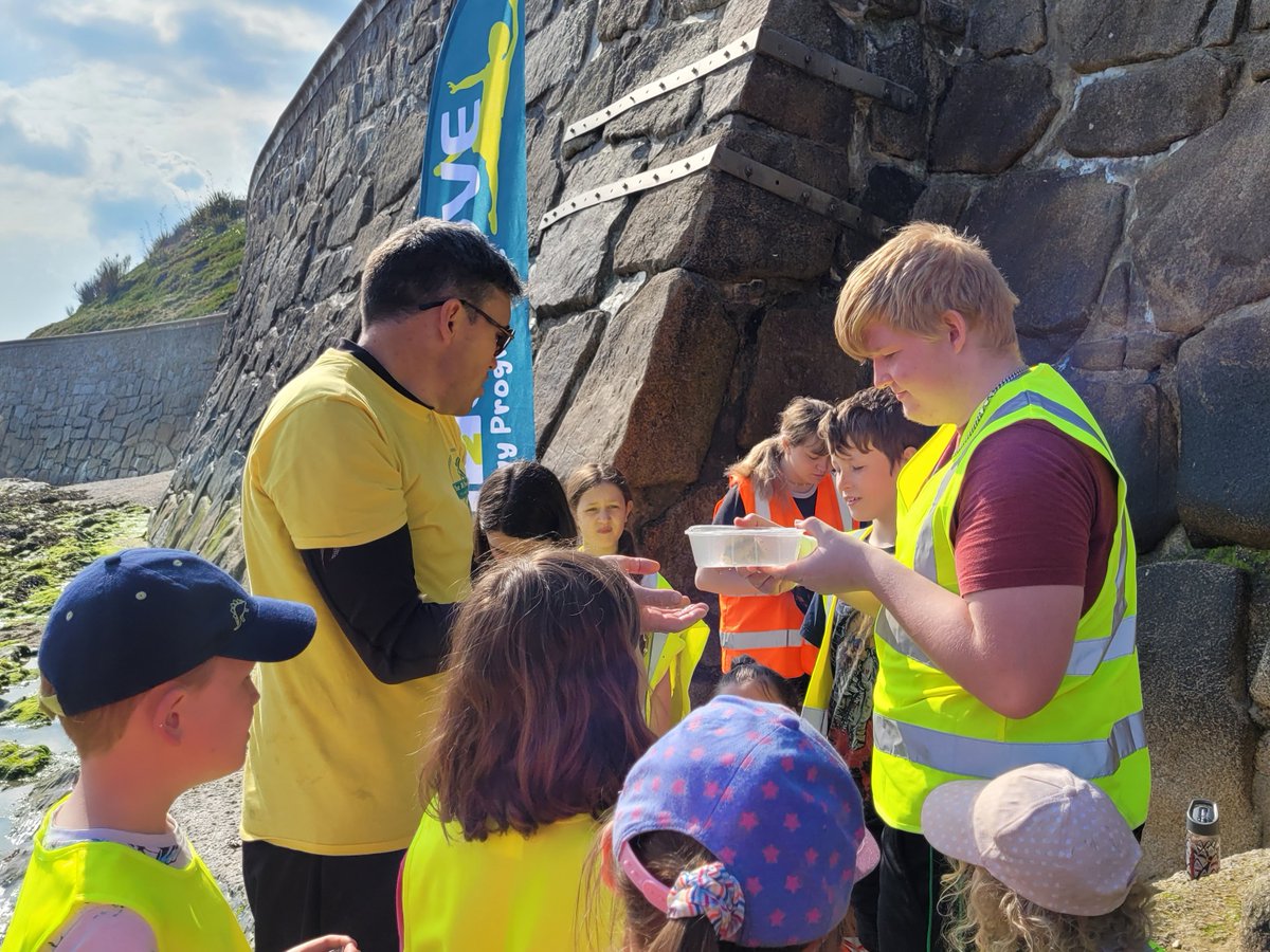rockpoolproject's tweet photo. Highlights from today's #time2move.
Very successful turnout with 16 participants of all ages. We found devil crabs, cushion stars, a big goby fish and many others. Great job everyone!
#day2 #therockpoolproject #tunnelbeach https://t.co/nXk03KwoW6