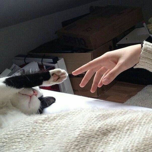 ARTIFAXING (@pedestrian) on Twitter photo 