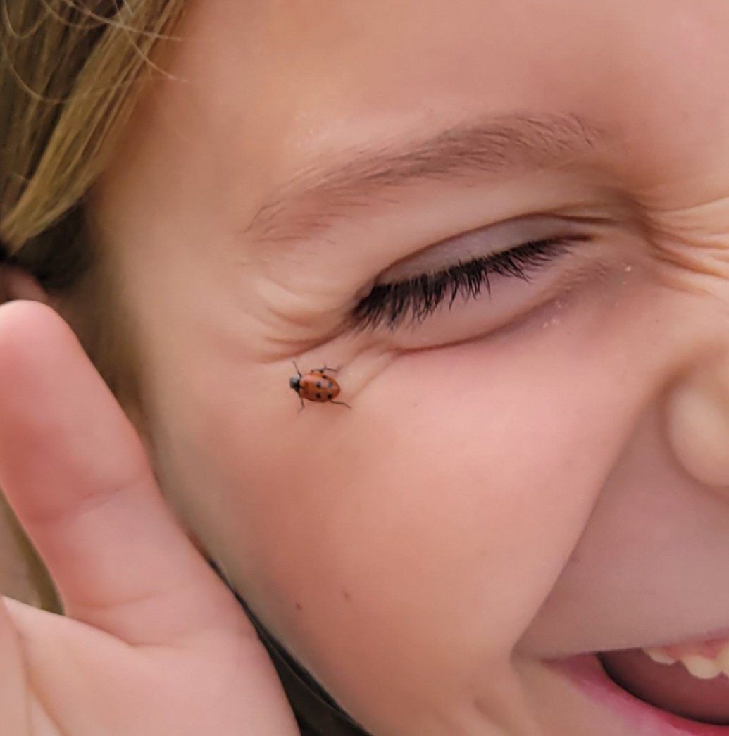 PackerRTGG (@packerrtgg) on Twitter photo This ladybug needs to learn a little about personal space! Third graders <a href="/rennellredhawks/">Rennell Elementary</a> released ladybugs in the garden today. This one made a new friend!@readygrowgarden <a href="/wingerrtgg/">Elaine Winger</a> <a href="/rajvinder_mann/">Rajvinder Mann</a> <a href="/mrsnewcfisd/">Kelly New</a> <a href="/ShepTheTeach/">Kristi Shepherd</a> <a href="/smithrennell3/">Melissa Smith</a> This ladybug needs to learn a little about personal space! Third graders <a href="/rennellredhawks/">Rennell Elementary</a> released ladybugs in the garden today. This one made a new friend!@readygrowgarden <a href="/wingerrtgg/">Elaine Winger</a> <a href="/rajvinder_mann/">Rajvinder Mann</a> <a href="/mrsnewcfisd/">Kelly New</a> <a href="/ShepTheTeach/">Kristi Shepherd</a> <a href="/smithrennell3/">Melissa Smith</a>