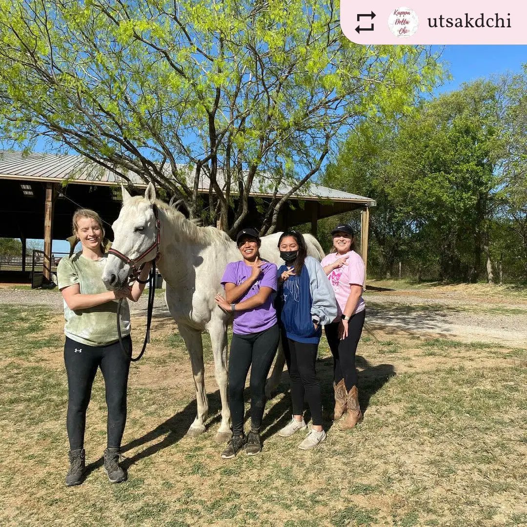 Kappa Delta Chi tweet media